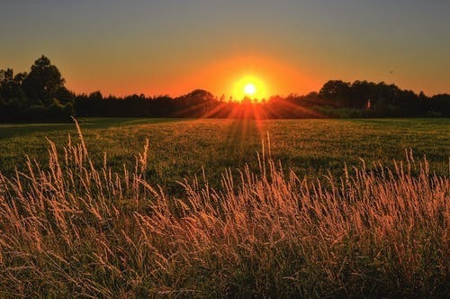 sun disappearing behind a horizon with a mountains, open field, and tall grass at the forefront